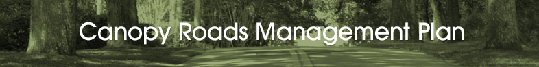 Canopy Roads Management Plan Banner
