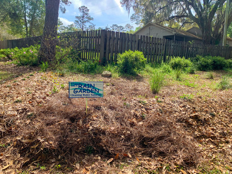 Rain Garden Grants